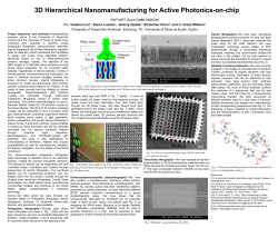 3D Hierarchical Nanomanufacturing for Active Photonics-on