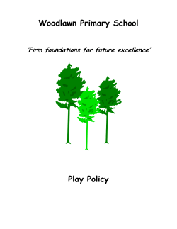 play based learning - Woodlawn Primary School