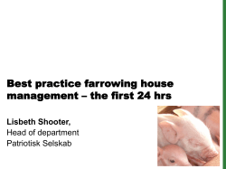 Best practice farrowing house management – the first