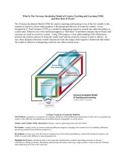 TIM Model - Building Creative Capacity In Teaching