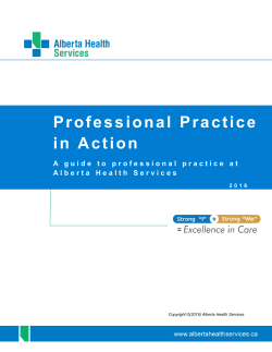 Professional Practice in Action Guide