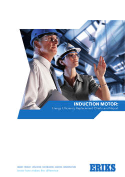 induction motor