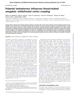 Pubertal testosterone influences threat-related amygdala