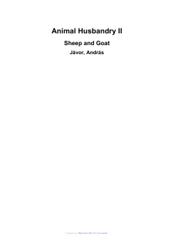 Sheep and Goat