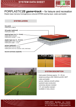SYSTEM DATA SHEET PORPLASTIC2S game+track &ndash; for leisure