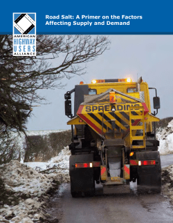 Road Salt: A Primer on the Factors Affecting Supply and Demand