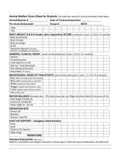 Animal Welfare Score Sheet for Rodents One sheet per animal to