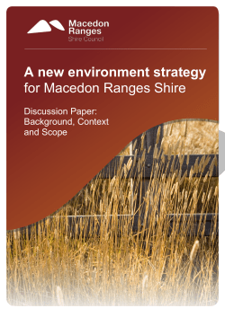 Context for a new environment strategy &ndash; social profile