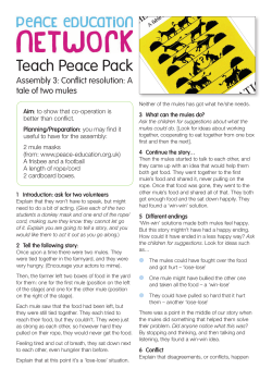 Assembly 3: Conflict resolution - a tale of two mules