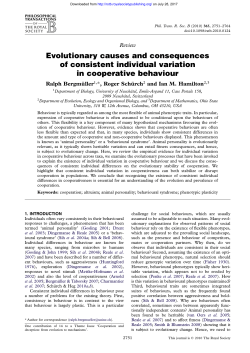 Evolutionary causes and consequences of consistent individual