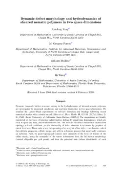 Dynamic defect morphology and hydrodynamics of sheared nematic