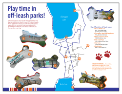 Play time in off-leash parks!