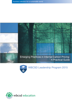 Emerging Practices in Internal Carbon Pricing