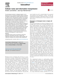 Cellular noise and information transmission