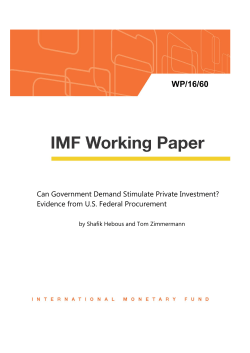 Can Government Demand Stimulate Private Investment?