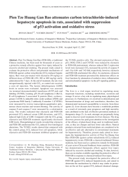 Pien Tze Huang Gan Bao attenuates carbon tetrachloride‑induced