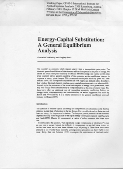 Energy-Capital Substitution : A General Equilibrium Analysis
