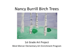 1-Birch Trees Powerpoint - Mercer Island School District