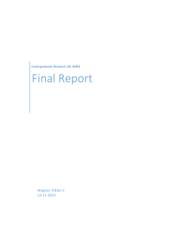 Final Report