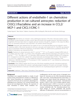 Different actions of endothelin-1 on chemokine