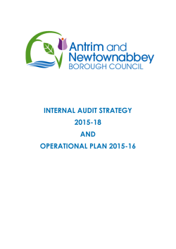 internal audit strategy 2015-18 and operational plan 2015-16