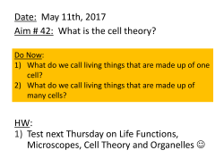 Unit 2: The Cell Aim 1: What is the Cell Theory?