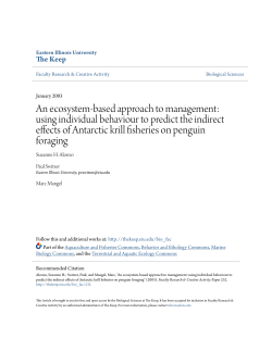 An ecosystem-based approach to management: using individual