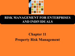 RISK MANAGEMENT FOR ENTERPRISES AND INDIVIDUALS