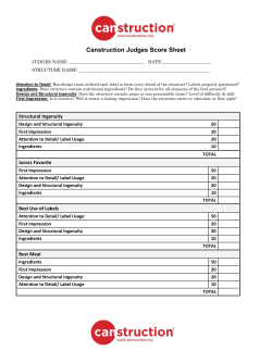 Canstruction Judges Score Sheet
