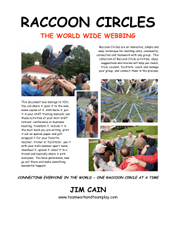 Raccoon Circles - The World Wide Webbing