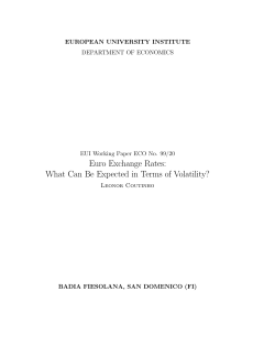 Euro Exchange Rates: What Can Be Expected in Terms of Volatility?