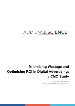 Minimising Wastage and Optimising ROI in Digital Advertising: a