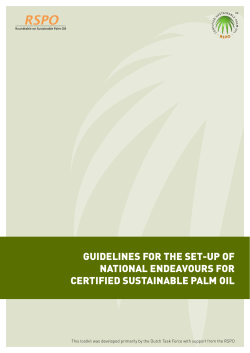 guidelines for the set-up of national endeavours for certified