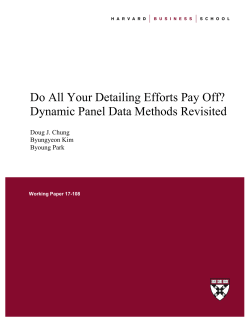 Do All Your Detailing Efforts Pay Off? Dynamic Panel Data Methods