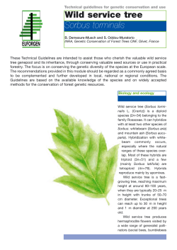 Technical guidelines for genetic conservation and use for