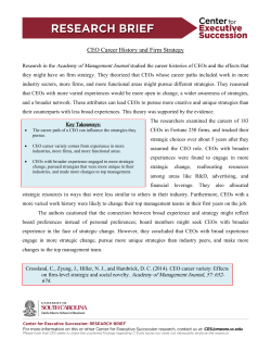 CEO Career History and Firm Strategy