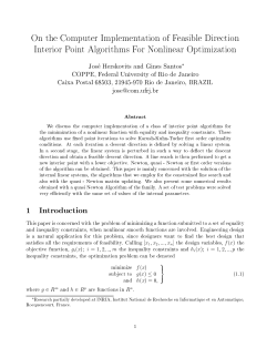 On the Computer Implementation of Feasible - Optimize