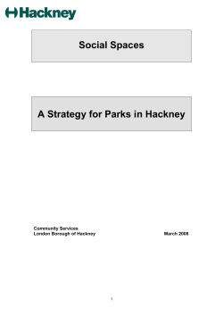 Social Spaces A Strategy for Parks in Hackney