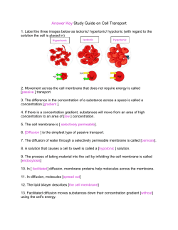 Answer Key for Transport Study Guide