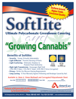 Benefits of Softlite: Uniform Growth Higher Yields Consistent Quality