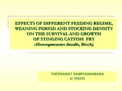EFFECTS OF DIFFERENT FEEDING REGIME, WEANING PERIOD