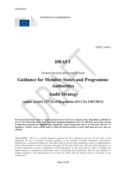 II. Content of the Audit Strategy