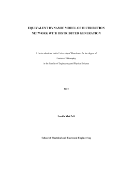 equivalent dynamic model of distribution network with distributed