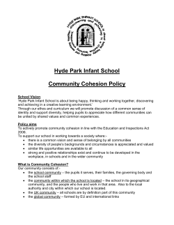 Hyde Park Infant School Community Cohesion Policy School Vision
