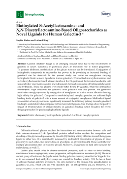 Biotinylated N-Acetyllactosamine- and N,N