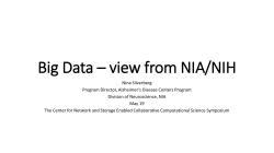 Nina Slides 5_18_2017