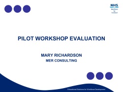 Pilot Workshop Evaluation
