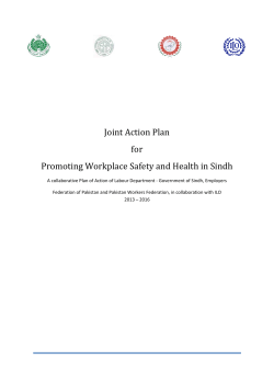 Joint Action Plan - Workplace Safety and Health - Approved