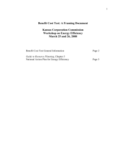 Benefit Cost Test: A Framing Document