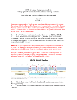 answer key and motivation - updated 4Nov16 - b